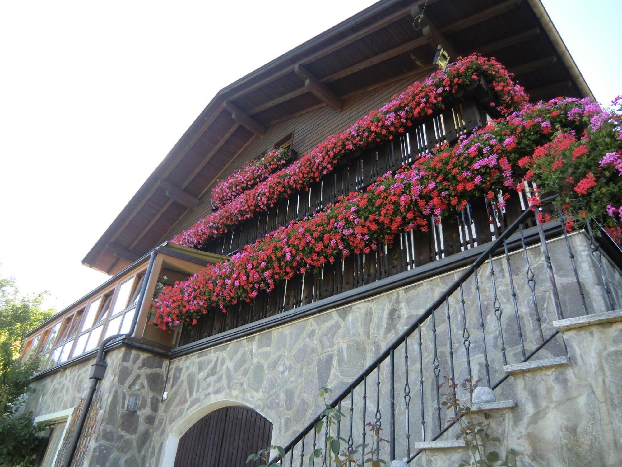 Alpenblick Bed & Breakfast Vipiteno Kültér fotó