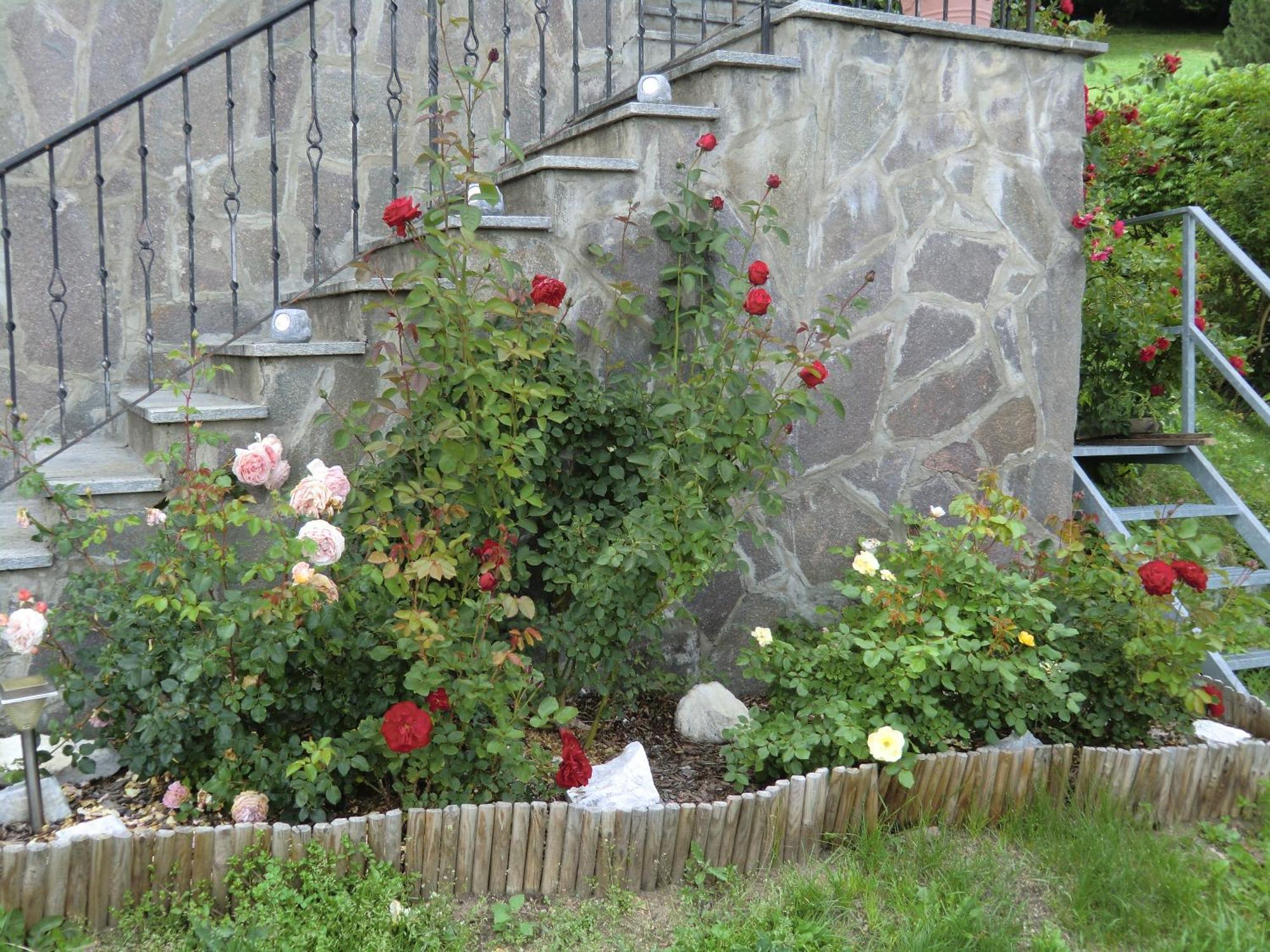 Alpenblick Bed & Breakfast Vipiteno Kültér fotó