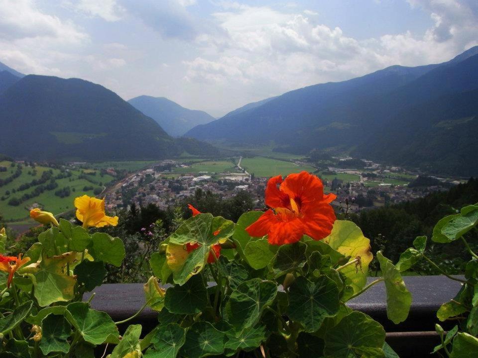 Alpenblick Bed & Breakfast Vipiteno Kültér fotó